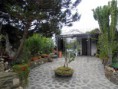 /album/galleria-fotografica/a008-esterno-giardino-jpg/